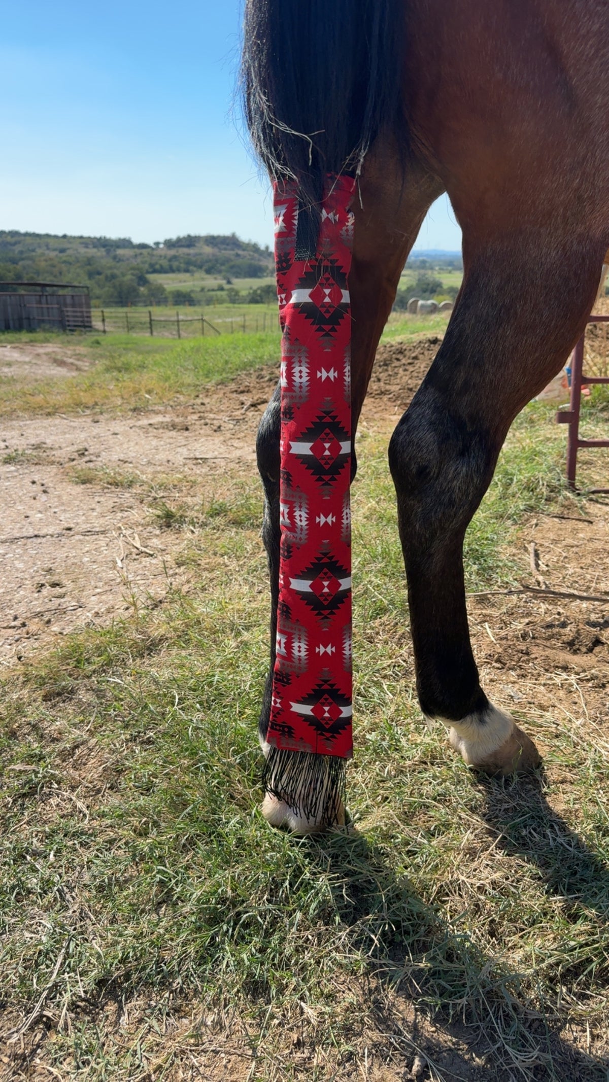Red Canyon Aztec & Black Fringe Tail Bag
