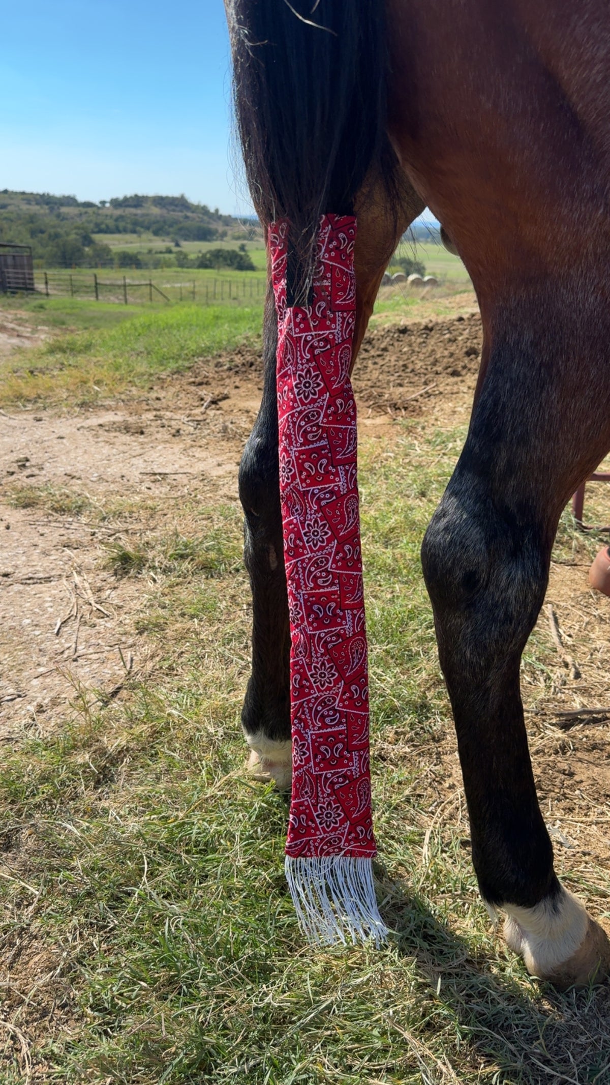 Red Bandana & White Fringe Tail Bag