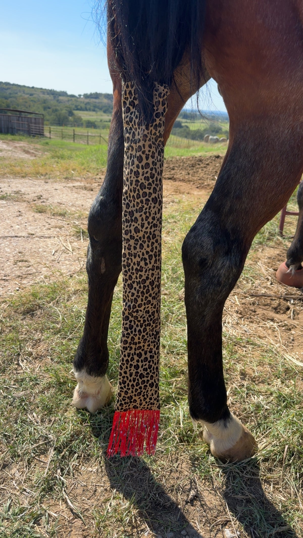 Cheetah & Red Dazzle Fringe Tail Bag