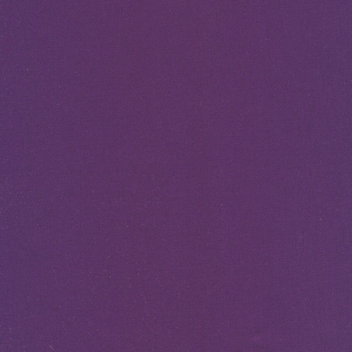 Purple - Choose Your Colored Fringe